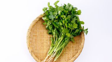 garnishing-instructions-image